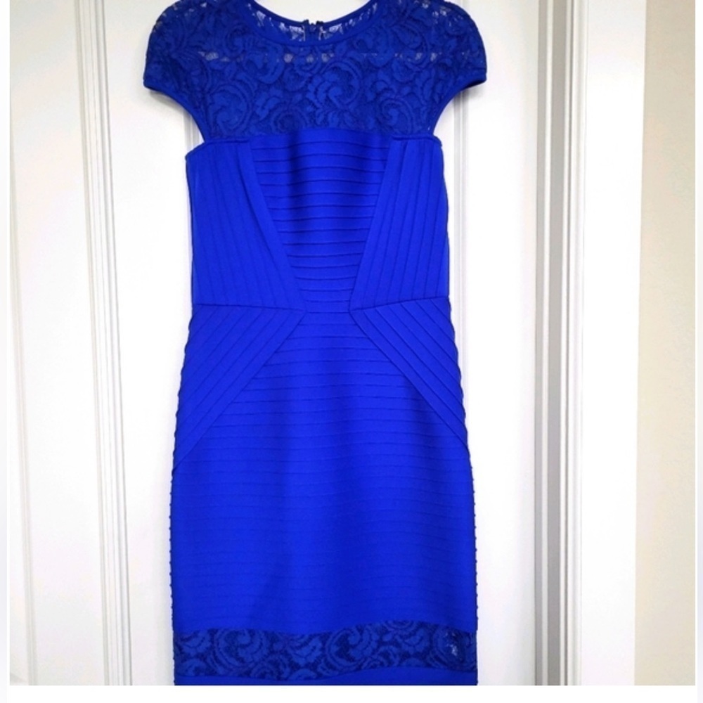 Tadashi Shoji Bodycon Dress